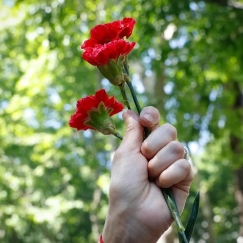 FB_IMG_1777147381378